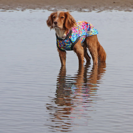 Razzle Dazzle McTog - Waterproof Microfleece Dog Jumper - Step In Poppers