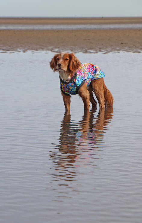 Razzle Dazzle McTog - Microfleece Waterproof Dog Sweater - Step In Poppers