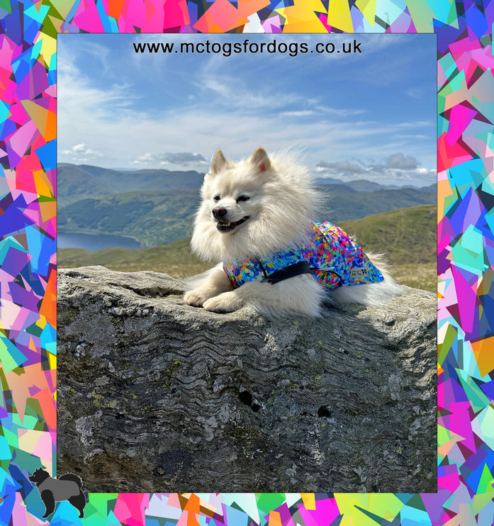 Razzle Dazzle McTog - Microfleece Waterproof Dog Sweater - Step In Poppers