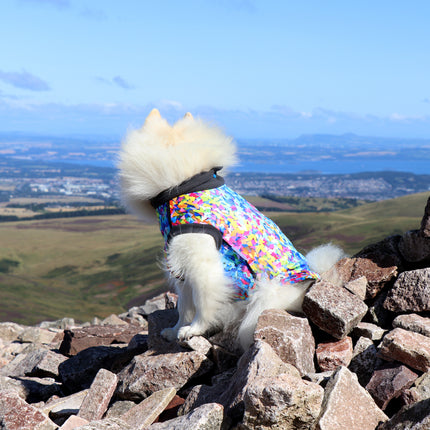 Razzle Dazzle McTog - Waterproof Microfleece Dog Jumper - Step In Poppers
