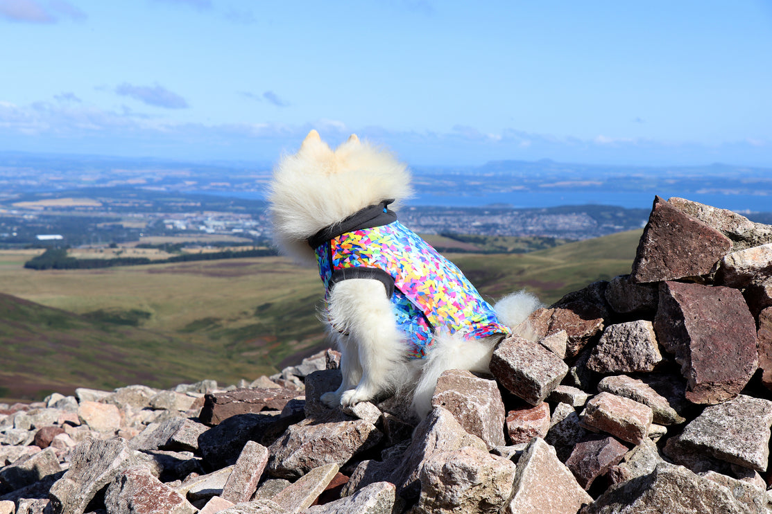 Razzle Dazzle McTog - Microfleece Waterproof Dog Sweater - Step In Poppers