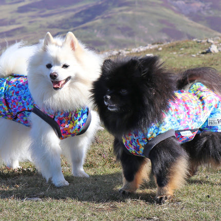 Razzle Dazzle McTog - Waterproof Microfleece Dog Jumper - Step In Poppers