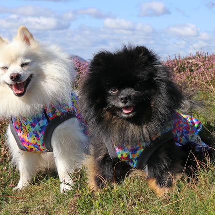 Razzle Dazzle McTog - Waterproof Microfleece Dog Jumper - Step In Poppers
