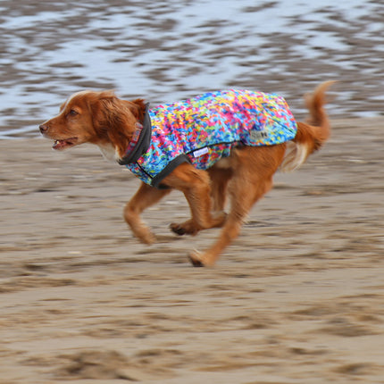Razzle Dazzle McTog - Waterproof Microfleece Dog Jumper - Step In Poppers
