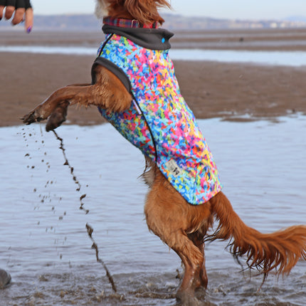 Razzle Dazzle McTog - Waterproof Microfleece Dog Jumper - Step In Poppers