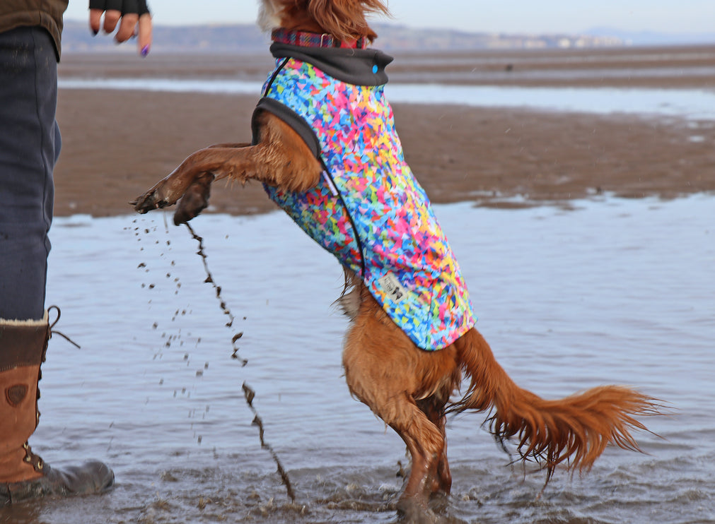 Razzle Dazzle McTog - Microfleece Waterproof Dog Sweater - Step In Poppers