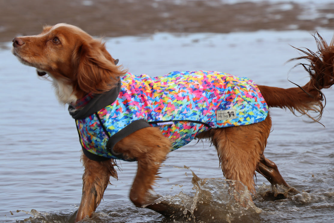 Razzle Dazzle McTog - Microfleece Waterproof Dog Sweater - Step In Poppers