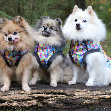 Razzle Dazzle McTog - Waterproof Microfleece Dog Jumper - Step In Poppers
