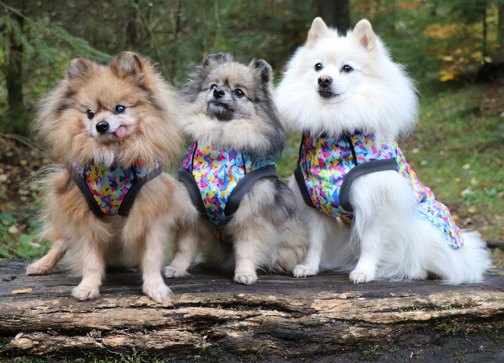 Razzle Dazzle McTog - Microfleece Waterproof Dog Sweater - Step In Poppers