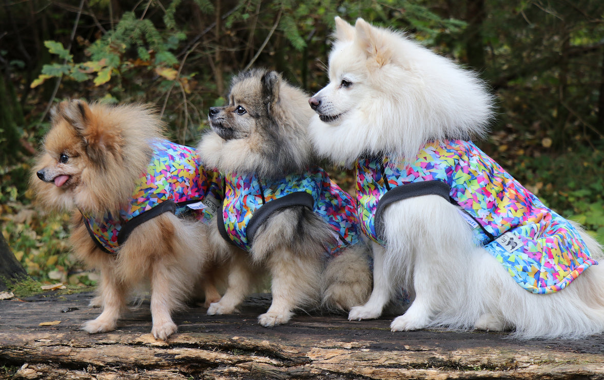 Razzle Dazzle McTog - Microfleece Waterproof Dog Sweater - Step In Poppers