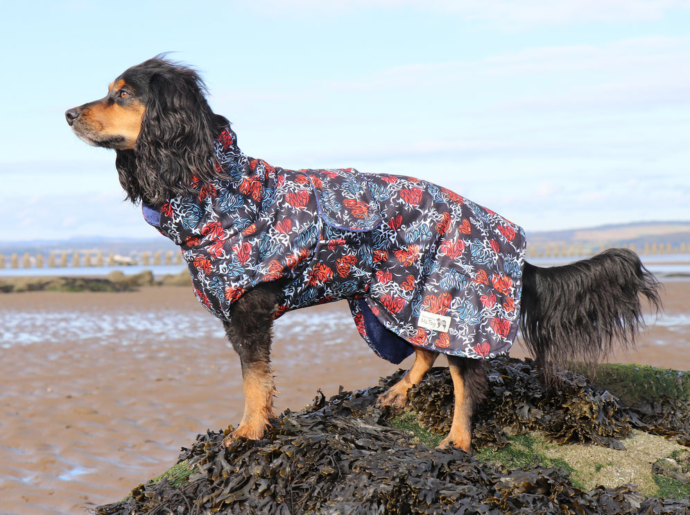 Rebel Heart McTog Drying Coat - Only Sizes 0 & 5 left
