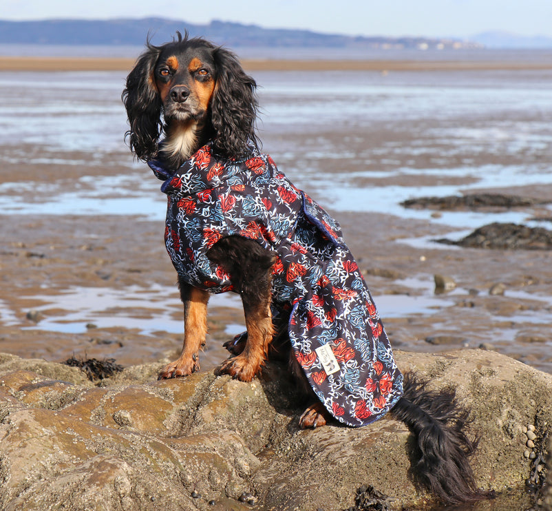 Rebel Heart McTog Drying Coat - Only Sizes 0 & 5 left