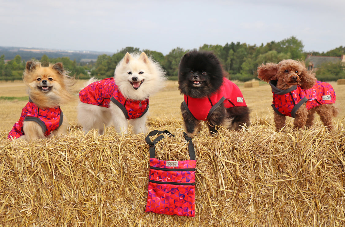 Cherry Fusion McTog - Microfleece Waterproof Dog Coat - Step In Poppers