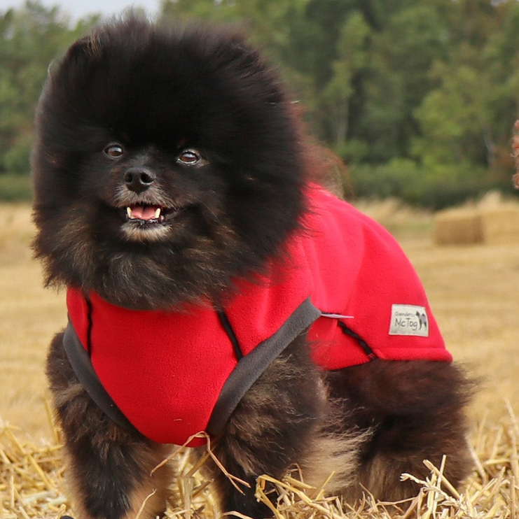 Racing Red McTog - Double Layer Microfleece Waterproof Dog Coat - Step In Poppers