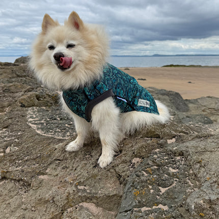 Sea Fern McTog - Microfleece Waterproof Dog Coat - Back Poppers