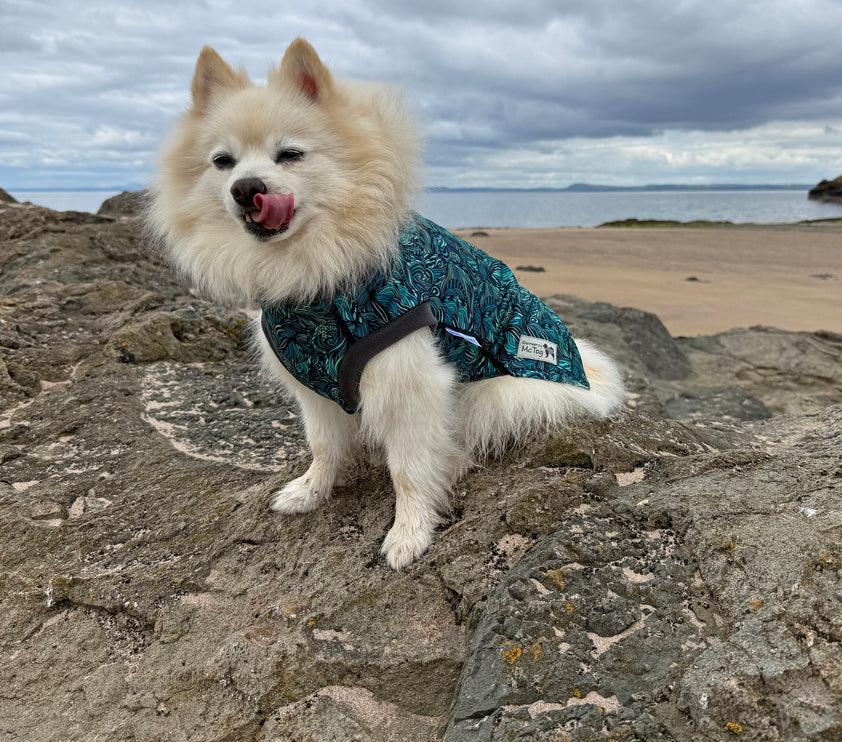 Sea Fern McTog - Microfleece Waterproof Dog Coat - Back Poppers