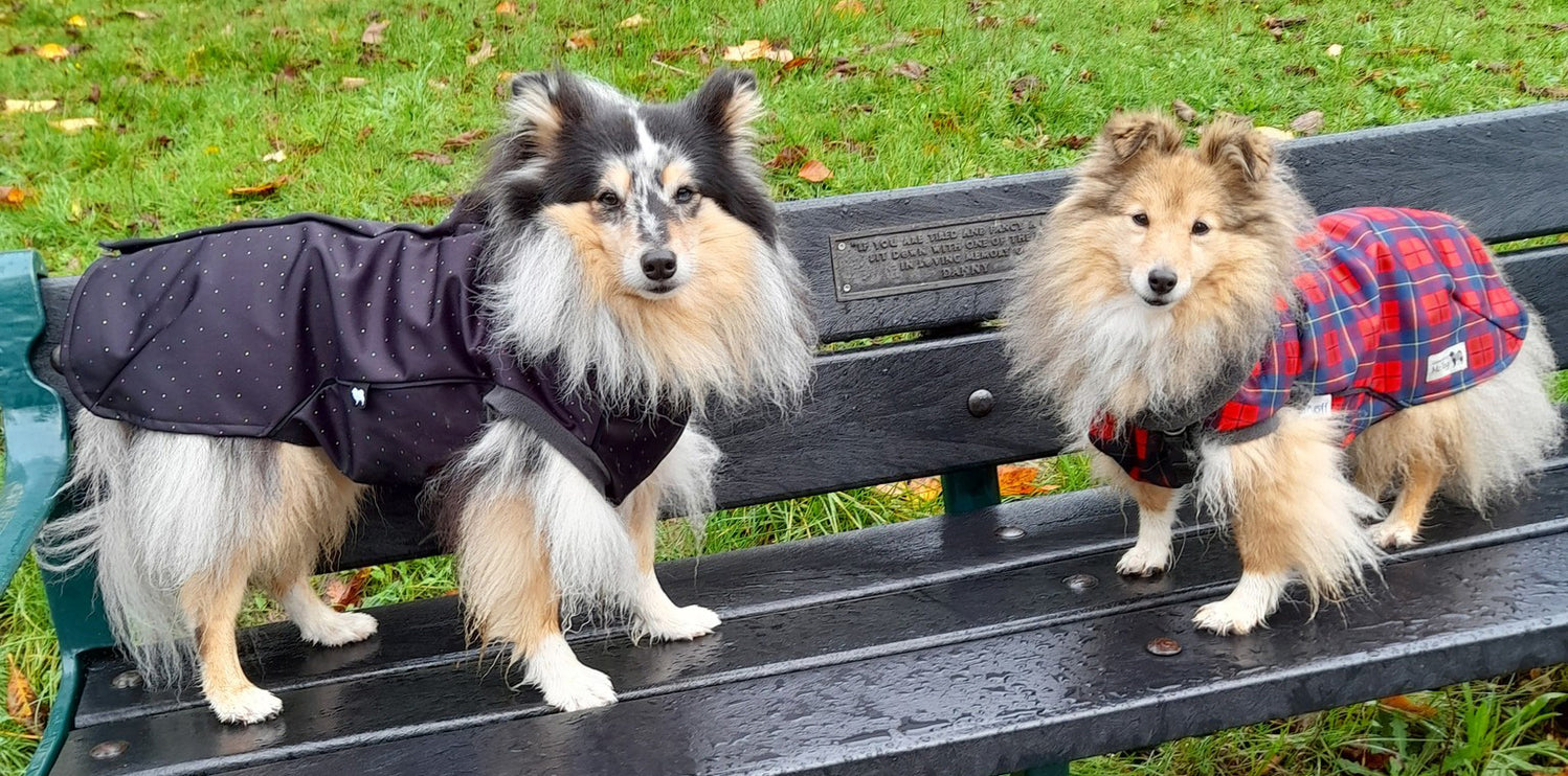 Starlight McTog - Microfleece Waterproof Dog Coat - Back Poppers