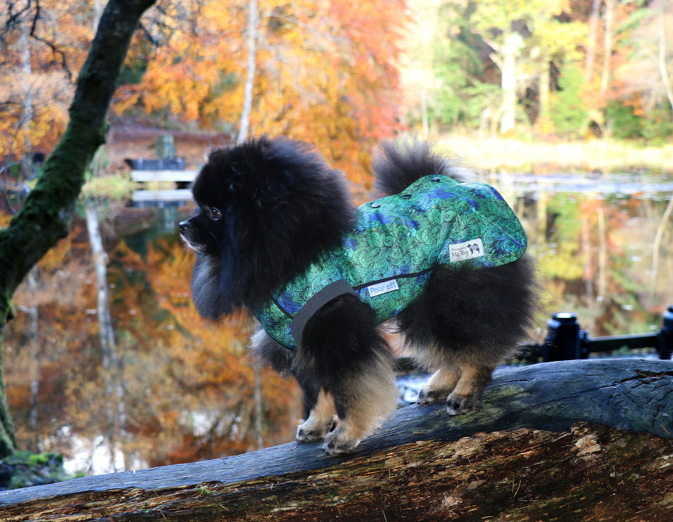 Spellbound McTog - Microfleece Waterproof Jumper - Step In Poppers - Size 3D & 6 left