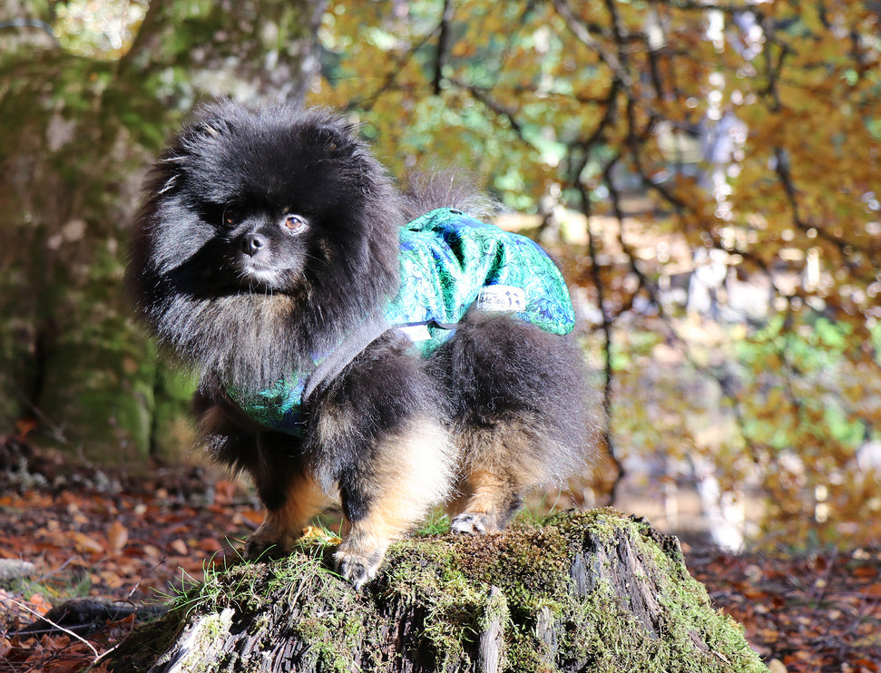 Spellbound McTog - Microfleece Waterproof Jumper - Step In Poppers - Size 3D & 6 left