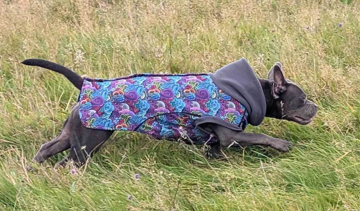 Dreamer McTog - Microfleece Waterproof Dog Coat - Back Poppers