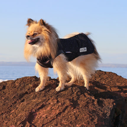 Starlight McTog - Microfleece Waterproof Dog Coat - Back Poppers