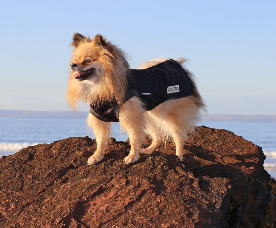 Starlight McTog - Microfleece Waterproof Dog Coat - Back Poppers