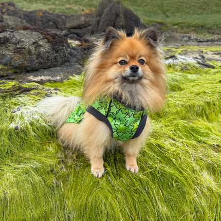 Star Lime McTog - Microfleece Waterproof Dog Coat - Back Poppers
