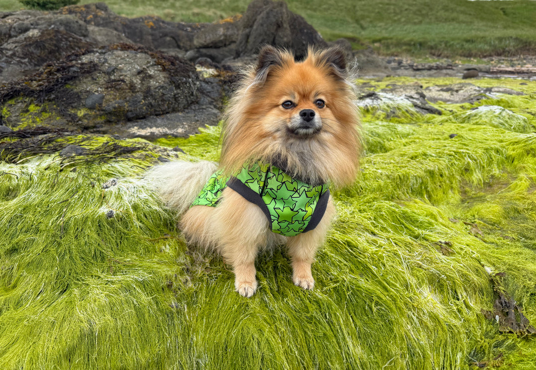 Star Lime McTog - Microfleece Waterproof Dog Coat - Back Poppers