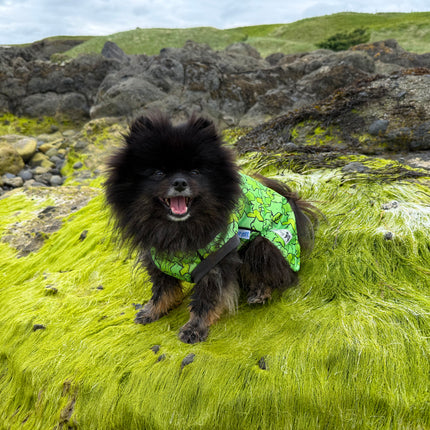 Star Lime McTog - Microfleece Waterproof Dog Coat - Back Poppers