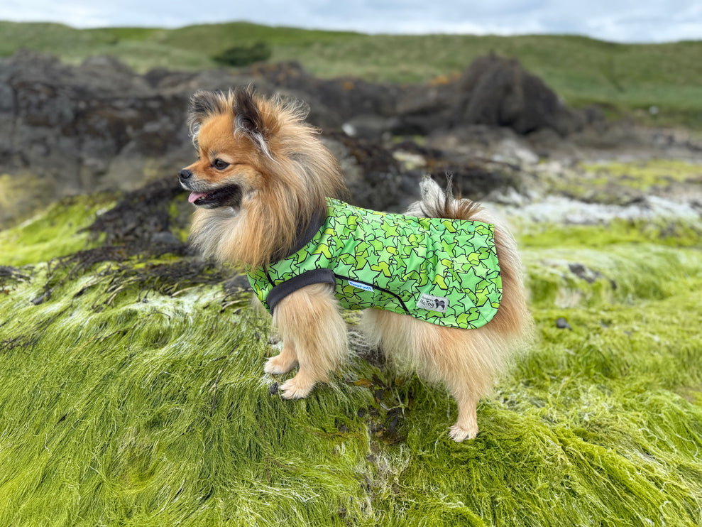 Star Lime McTog - Microfleece Waterproof Dog Coat - Back Poppers