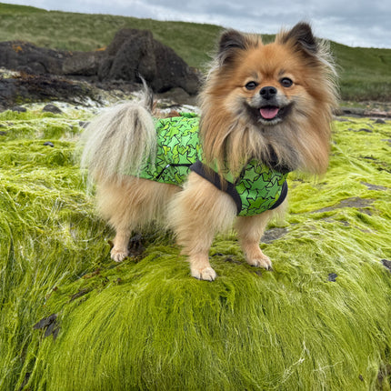 Star Lime McTog - Microfleece Waterproof Dog Coat - Back Poppers