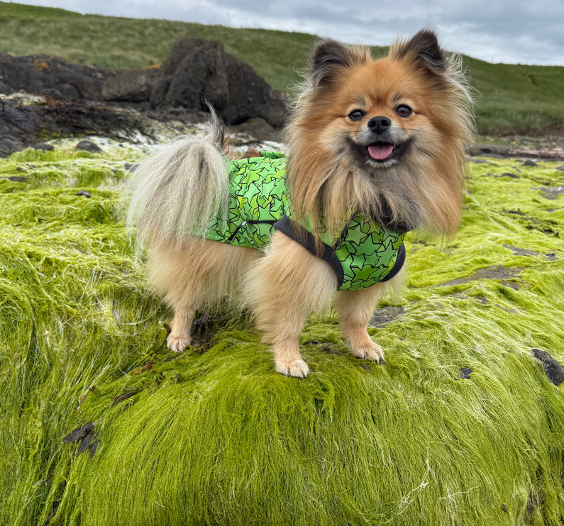 Star Lime McTog - Microfleece Waterproof Dog Coat - Back Poppers