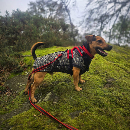 Earth Echo McTog - Microfleece Waterproof Dog Jumper - Step In Poppers