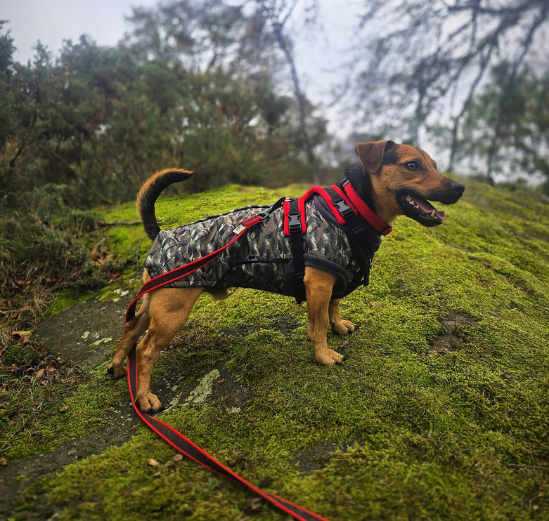 Earth Echo McTog - Microfleece Waterproof Dog Jumper - Step In Poppers