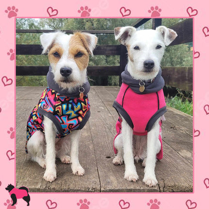 Graffiti McTog - Microfleece Waterproof Dog Sweater