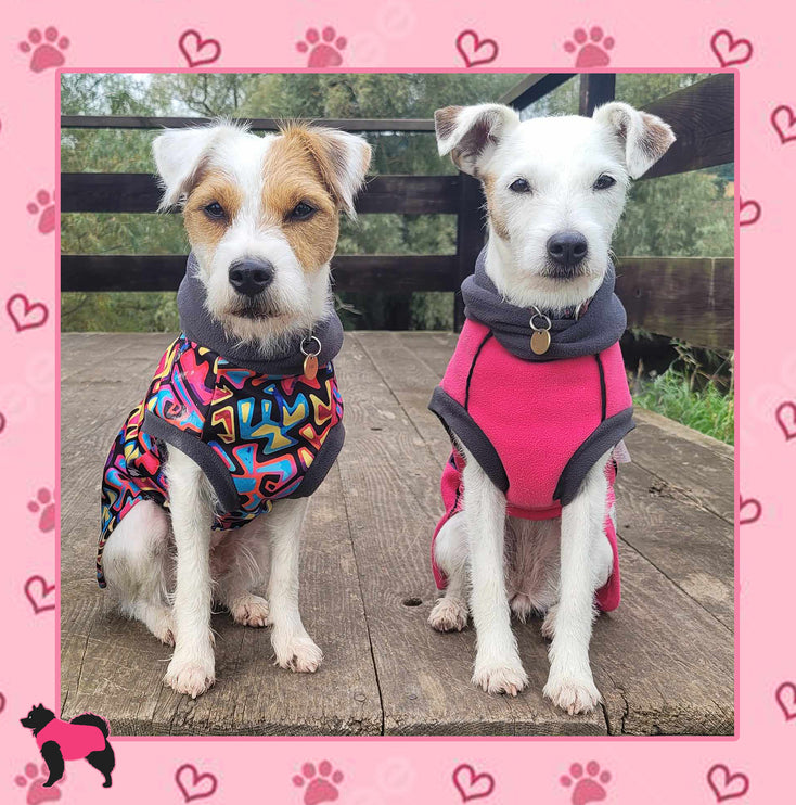 Graffiti McTog - Microfleece Waterproof Dog Sweater