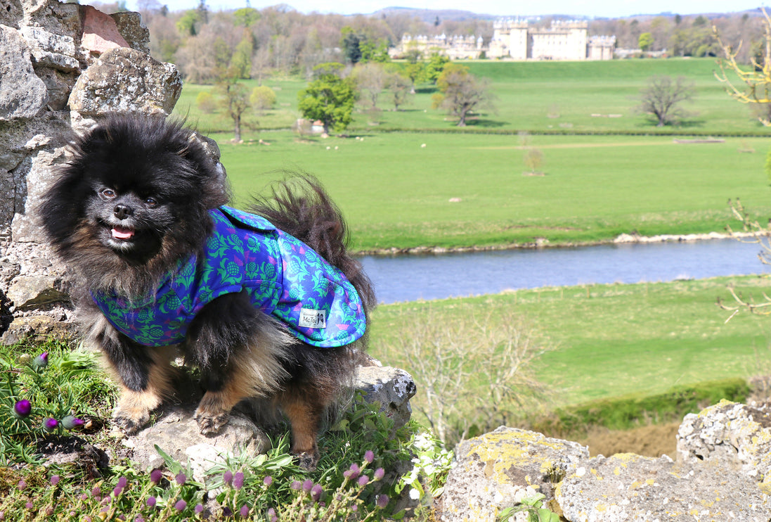 Thistle McTog - Microfleece Waterproof Dog Jumper