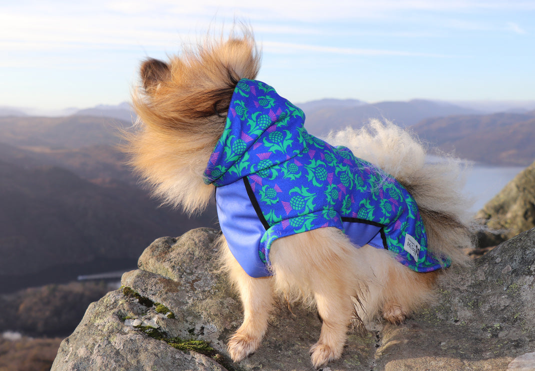 Thistle McTog - Polar Fleece - Waterproof Panel Dog Jumper