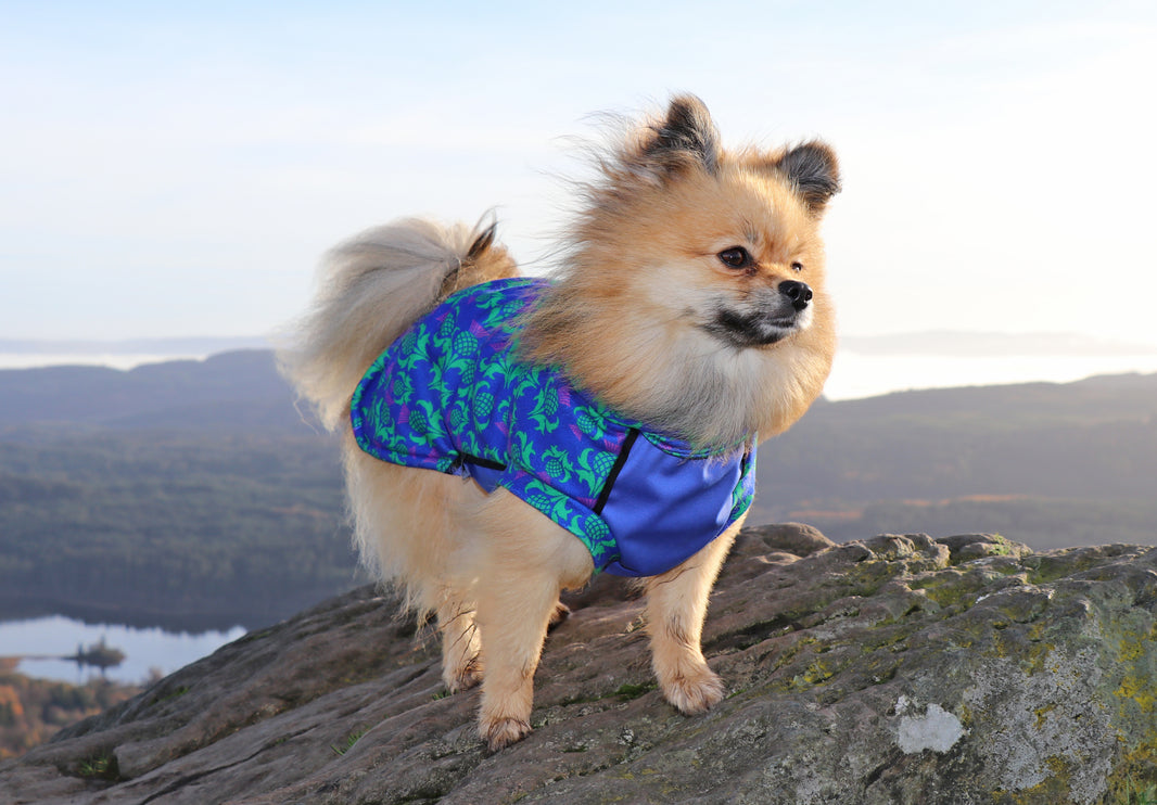 Thistle McTog - Polar Fleece - Waterproof Panel Dog Jumper