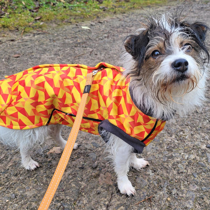 Trailblazer McTog - Waterproof Microfleece Dog Jumper - Step In Poppers