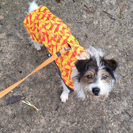 Trailblazer McTog - Waterproof Microfleece Dog Jumper - Step In Poppers