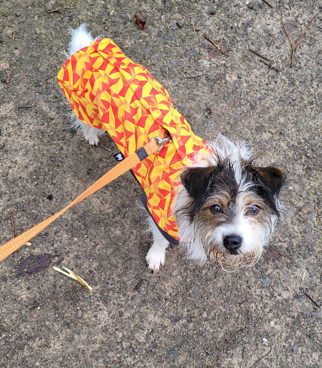 Trailblazer McTog - Microfleece Waterproof Dog Jumper - Step In Poppers