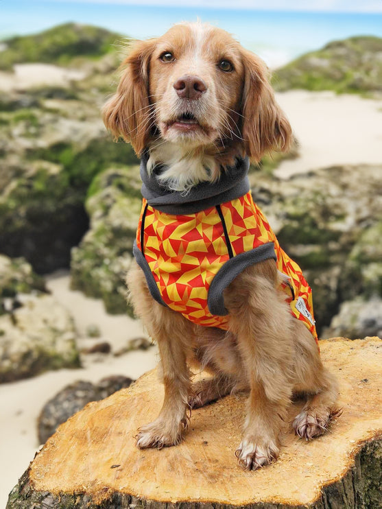 Trailblazer McTog - Microfleece Waterproof Dog Jumper