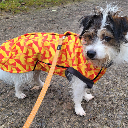 Trailblazer McTog - Waterproof Microfleece Dog Jumper - Step In Poppers