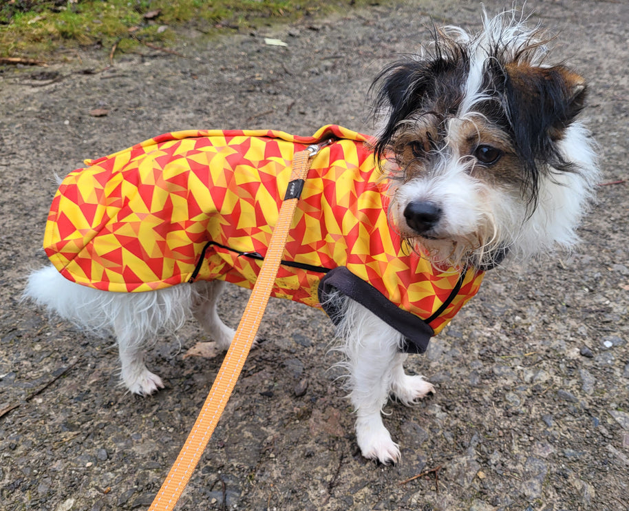 Trailblazer McTog - Microfleece Waterproof Dog Jumper - Step In Poppers