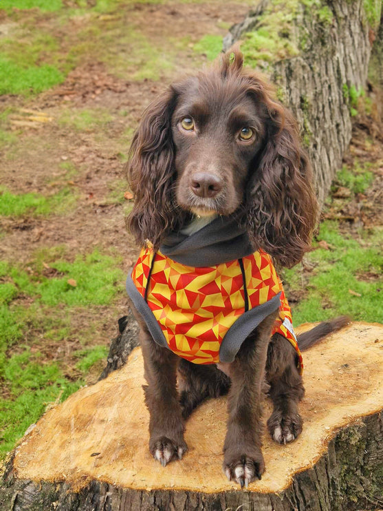 Trailblazer McTog - Microfleece Waterproof Dog Jumper