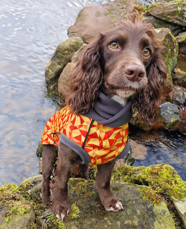 Trailblazer McTog - Microfleece Waterproof Dog Jumper