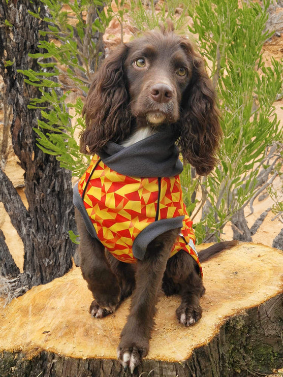 Trailblazer McTog - Microfleece Waterproof Dog Jumper