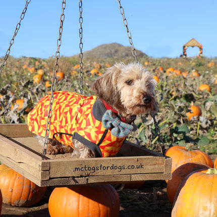 Trailblazer McTog - Waterproof Microfleece Dog Jumper - Step In Poppers