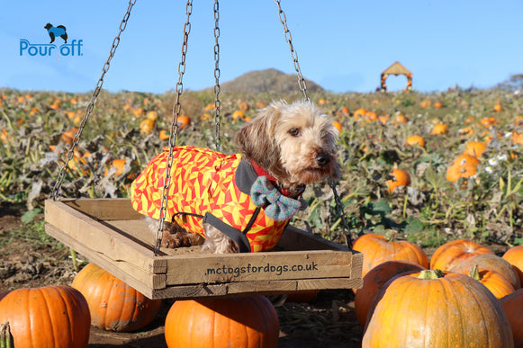 Trailblazer McTog - Waterproof Microfleece Dog Jumper - Step In Poppers